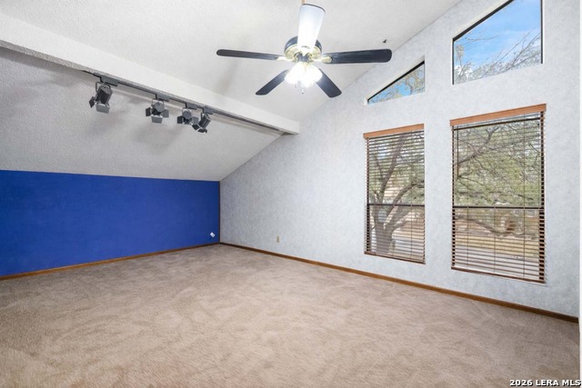 Image 20 of 26 For 3615 Shallow Brook