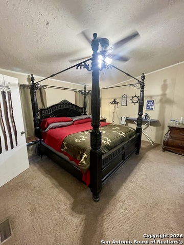 Listing photo id 12 for 1635 Terrell