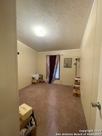 Listing photo id 17 for 1635 Terrell