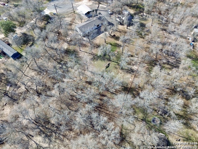 Listing photo id 21 for 1635 Terrell