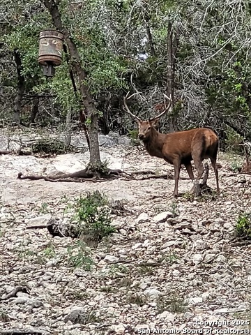 Image 3 of 11 For 424 Sierra Vista