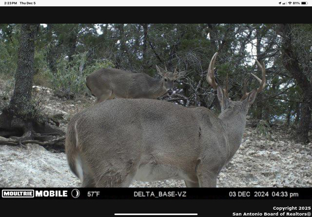 Image 4 of 11 For 424 Sierra Vista