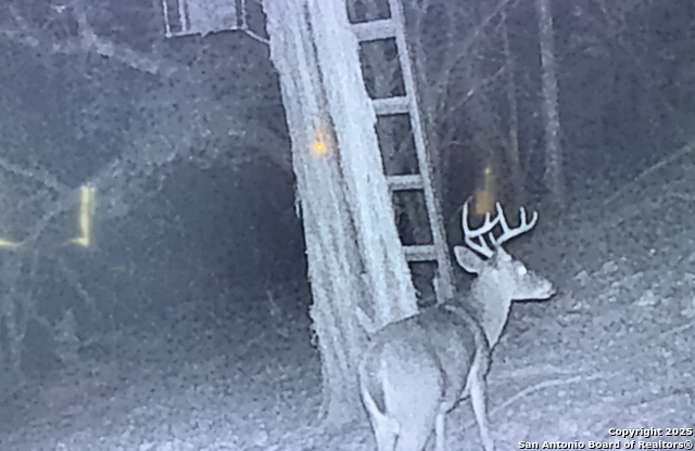 Image 6 of 11 For 424 Sierra Vista