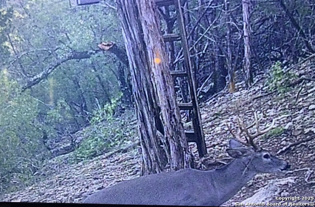 Image 7 of 11 For 424 Sierra Vista