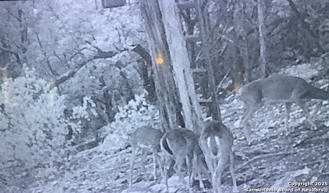 Image 8 of 11 For 424 Sierra Vista