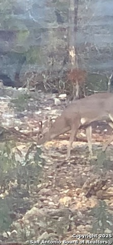 Image 9 of 11 For 424 Sierra Vista