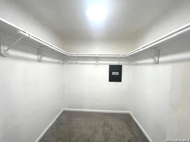 Image 23 of 41 For 9025 Deer  