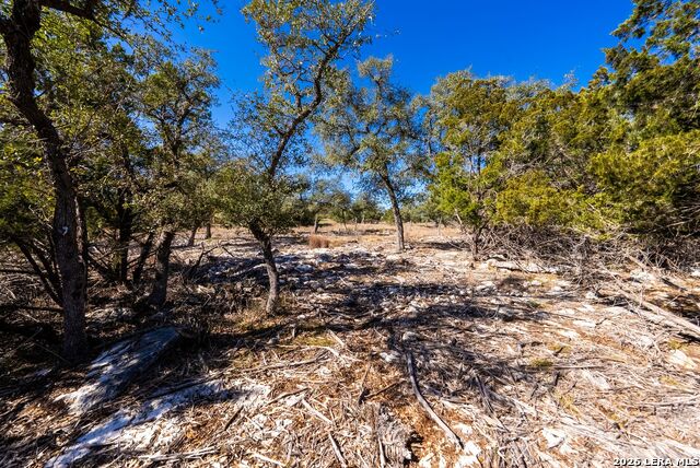 Image 21 of 30 For 27719 Sunny Pt Lot 209