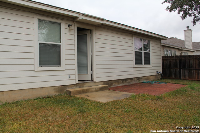 Image 11 of 11 For 3722 Lenten Rose