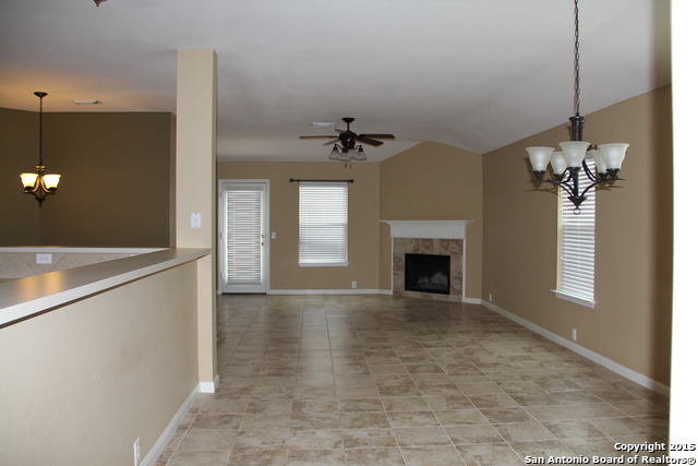 Image 2 of 11 For 3722 Lenten Rose