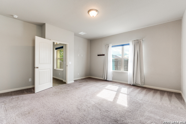 Image 11 of 25 For 4684 Grey Sotol