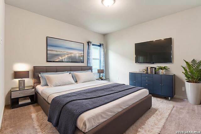 Image 15 of 25 For 4684 Grey Sotol