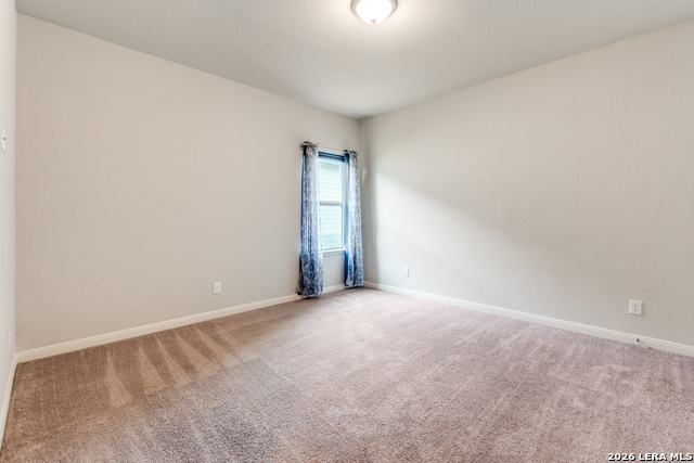 Image 18 of 25 For 4684 Grey Sotol