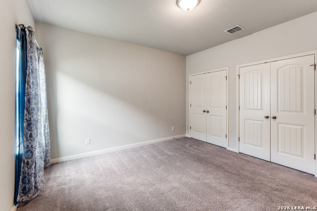 Image 19 of 25 For 4684 Grey Sotol