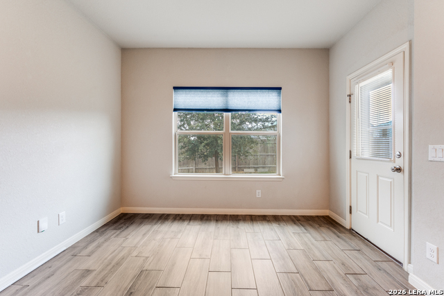 Image 20 of 25 For 4684 Grey Sotol