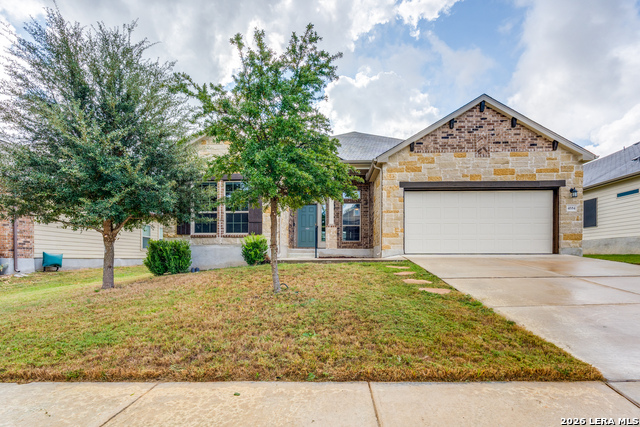 Image 21 of 25 For 4684 Grey Sotol