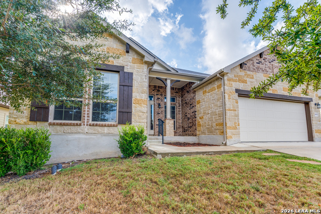 Image 22 of 25 For 4684 Grey Sotol