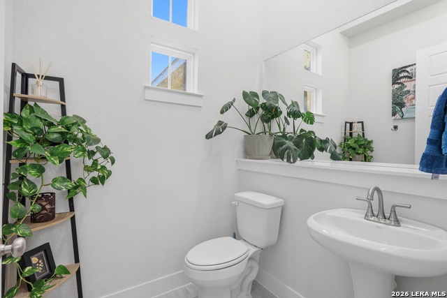 Image 24 of 40 For 3709 Pin Oak