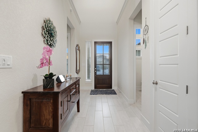 Image 9 of 40 For 3709 Pin Oak