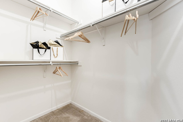 Image 24 of 42 For 13931 Red Maple Wood