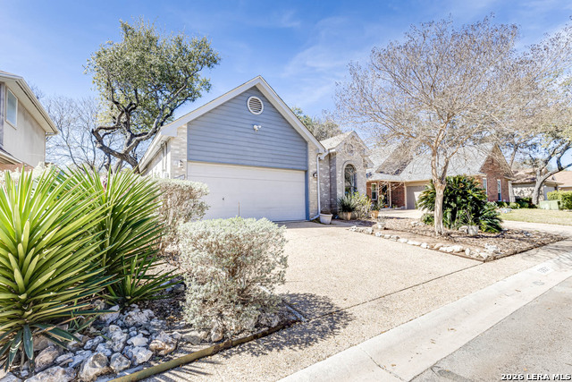 Image 38 of 42 For 13931 Red Maple Wood