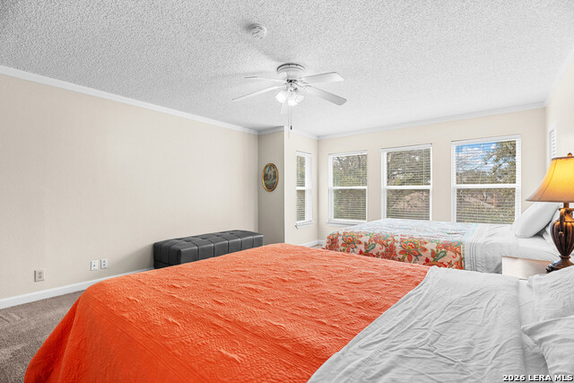 Image 26 of 49 For 7519 Waketon