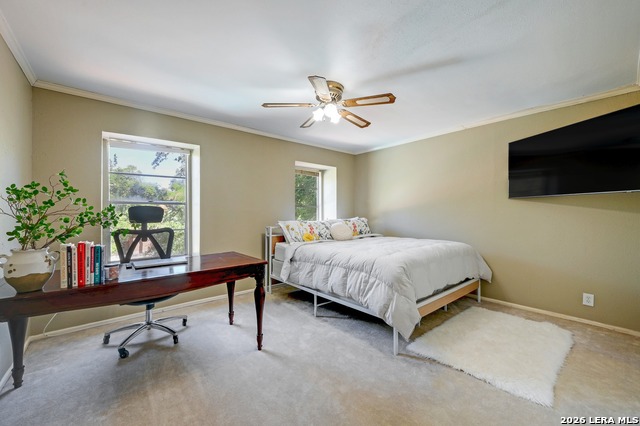 Image 21 of 24 For 13003 Chateau Forest