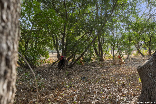 Image 4 of 62 For 158 Private Road 4732