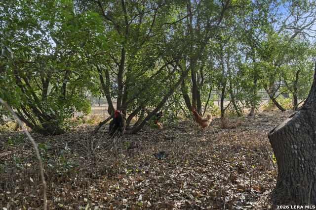 Image 44 of 62 For 158 Private Road 4732