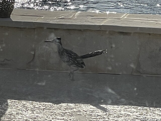 Image 27 of 29 For 400 Clear Lake