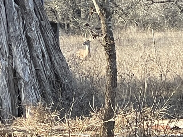 Image 28 of 29 For 400 Clear Lake