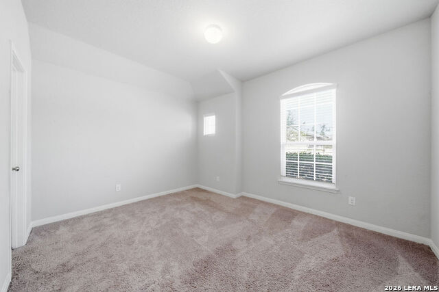 Image 19 of 30 For 12071 Pitcher