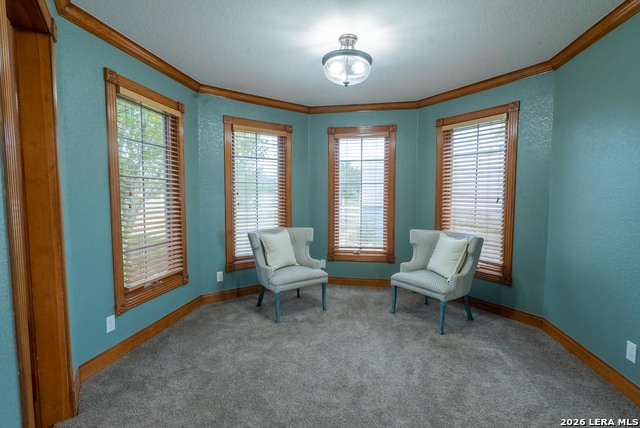 Image 25 of 37 For 1985 S State Loop 481