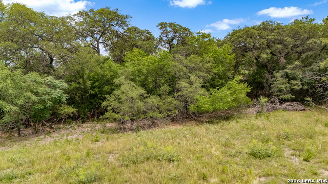 Image 20 of 29 For Lot 1 River Bluff