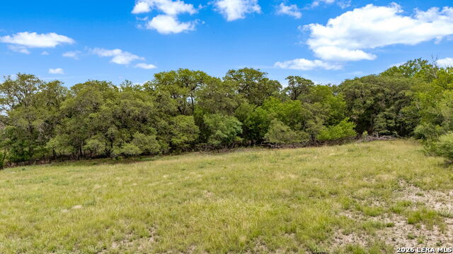 Image 22 of 29 For Lot 1 River Bluff