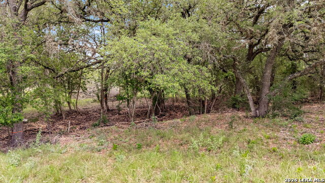 Image 24 of 29 For Lot 1 River Bluff