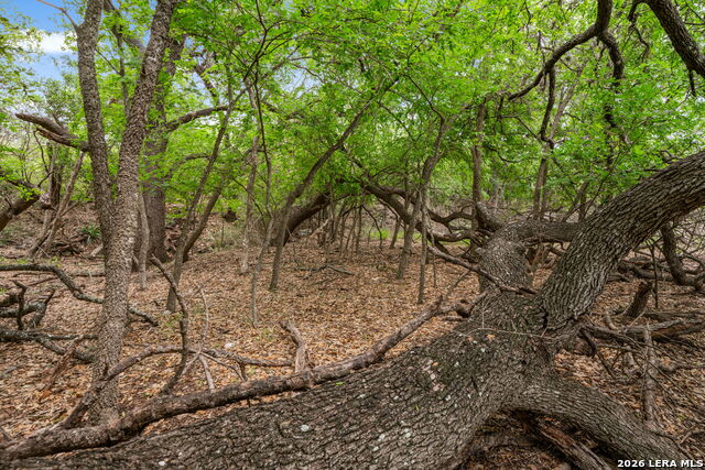 Image 25 of 29 For Lot 1 River Bluff