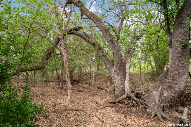 Image 26 of 29 For Lot 1 River Bluff