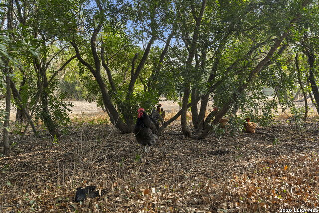 Image 44 of 62 For 158 Private Road 4732