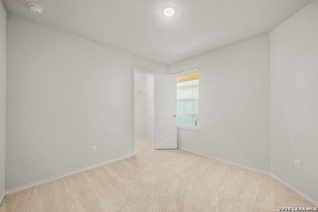 Image 10 of 25 For 603 Wild Olive