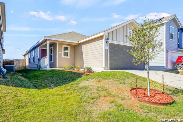 Image 19 of 25 For 603 Wild Olive