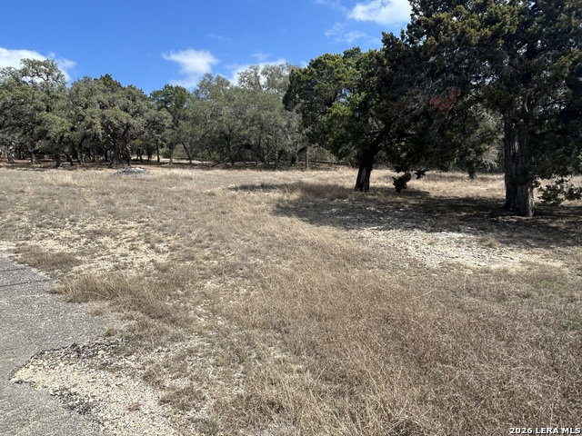 Image 12 of 30 For 18810 Bandera