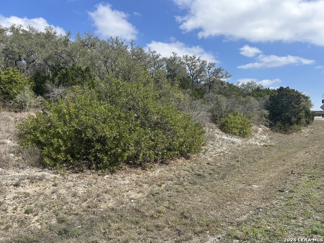 Image 15 of 30 For 18810 Bandera