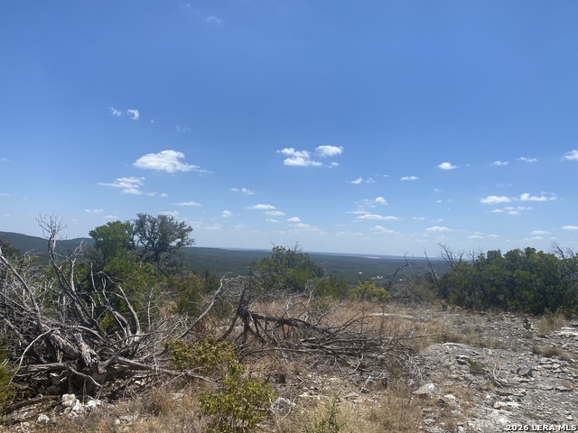 Image 30 of 30 For 18810 Bandera