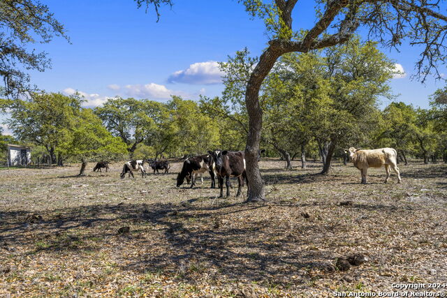 Image 81 of 122 For 222 State Highway 46 E