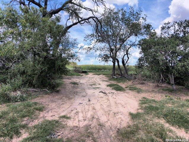 Listing photo id 3 for Tbd Cooksey Road