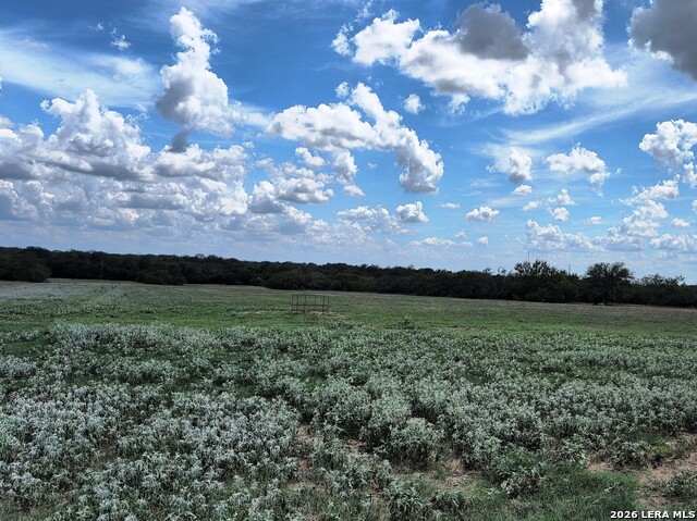Listing photo id 4 for Tbd Cooksey Road