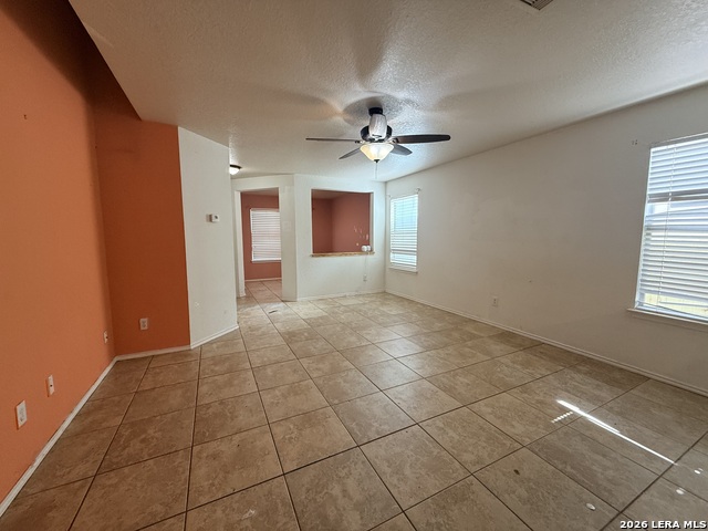 Image 4 of 23 For 91 Booker Palm