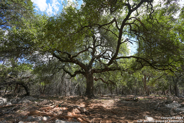 Details for 330 Rayner Ranch, Spring Branch, TX 78070