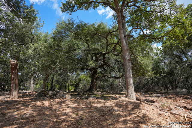 Image 7 of 18 For 330 Rayner Ranch